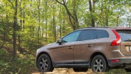 Woman sues Volvo after dog closes tailgate, causing her brain injury