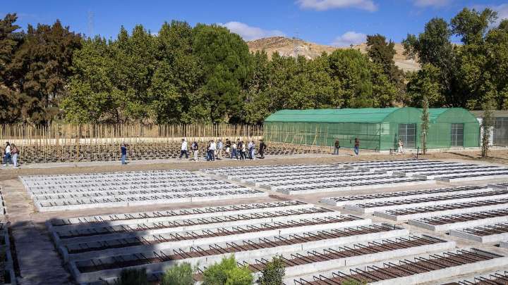 Lucha contra el cambio climático en Málaga: Así es el 'epicentro verde' de Ardales