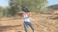 Palestinian woman attacked by Israeli settler while harvesting olives