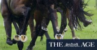 Southerly Buster ready to upset favourites at Newcastle