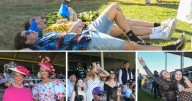 Winning style and social charm at MTC Picnic Races 2025