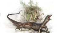 Freaky Jurassic Reptile Is a Weird Mix of Snake and Lizard