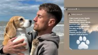 ¡No la encontraremos nunca! Aaron Ramsey se rinde en la búsqueda de Halo