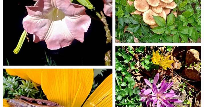 Sandy Parrill: Don't believe internet-generated predictions about nature