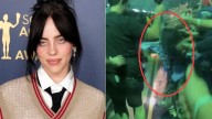Billie Eilish fue agredida por fan en pleno concierto