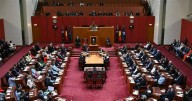 Senators urged to flex muscles to stop Labor inaction