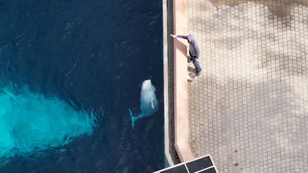 IN PHOTOS | This week's most compelling images