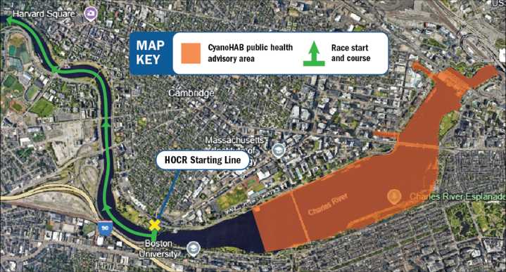 Head of the Charles won't be affected by bacteria bloom, officials say