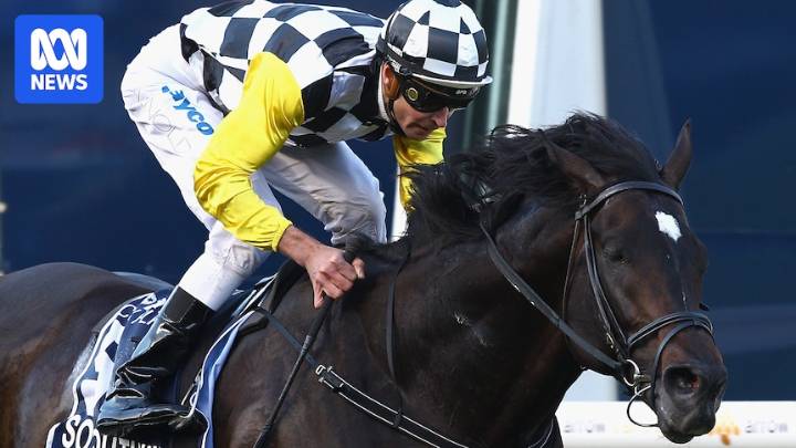 Legendary WS Cox Plate winner So You Think dies