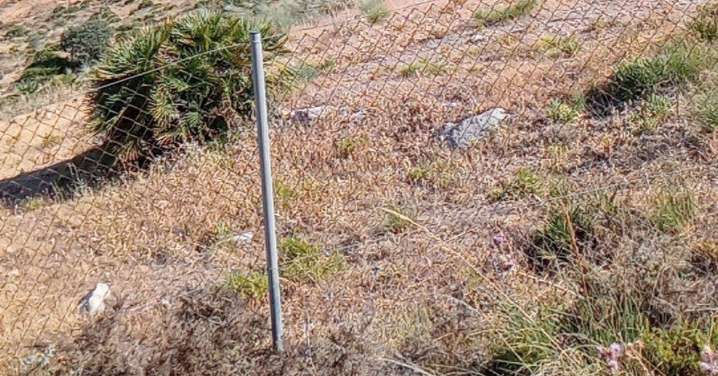 El hombre agredido con un pico en Alcaucín sigue en coma profundo tres meses después del ataque