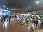 Empezó la Fiesta del Lapacho en Puerto Leoni