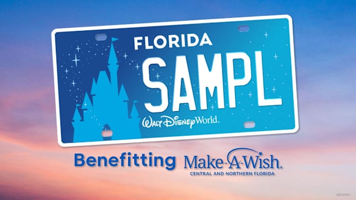 Walt Disney World specialty plate raises $5M for Make