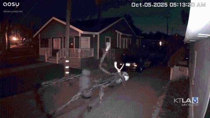 Thief seen on video stealing gigantic Jack Skellington animatronic