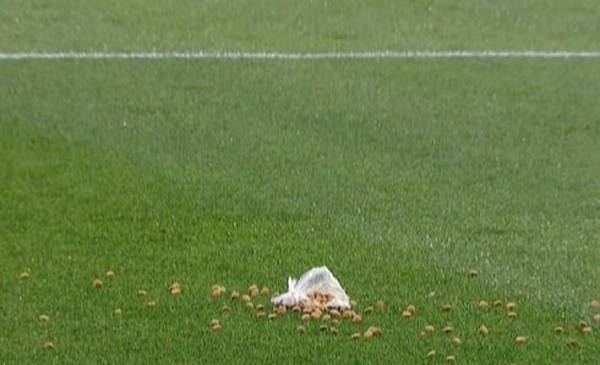 Los jugadores de Independiente festejaban un gol y sus hinchas les arrojaron ¡alimento para perros!