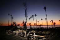 Authorities charge man with sparking deadly January wildfire that leveled LA neighborhoods Updated 17 mins ago