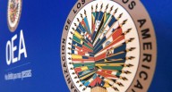 “La OEA en la encrucijada: entre la burocracia y la relevancia regional”, por Irma Montes Patiño