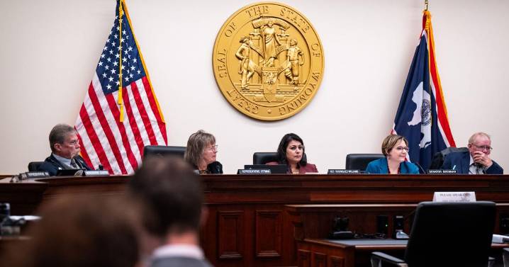 Wyoming bill protecting pregnancy centers advances