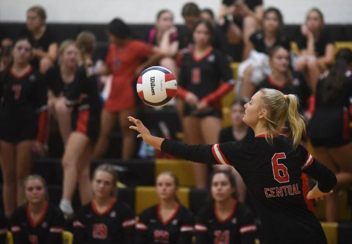 Volleyball: Kaitlyn Hedrich, Lincoln-Way Central top Andrew