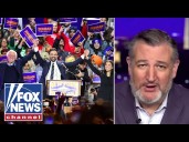 Ted Cruz: They have 'LOST THEIR MINDS!'