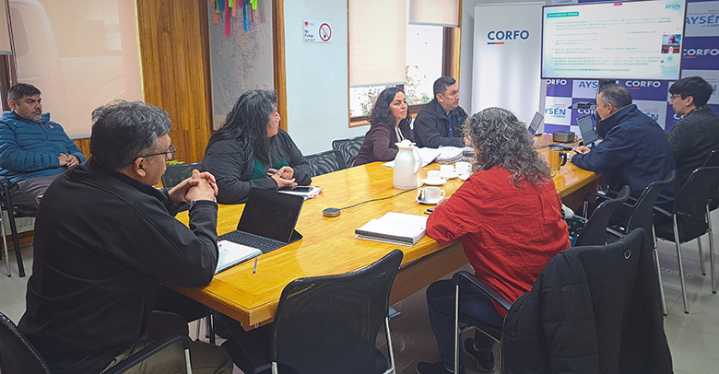 Comité de Desarrollo Productivo co-financia 37 proyectos de inversión por $859 millones para 2025