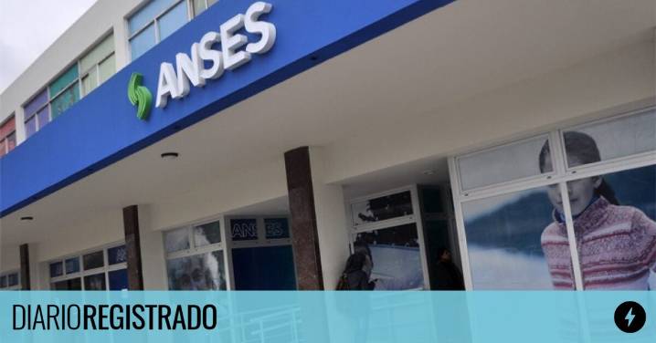 Fechas confirmadas: cuándo cobra SUAF de ANSES en octubre 2025
