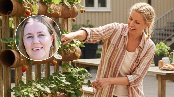 Ni limpiar todos los días ni contratar a alguien: el truco que usan en Suecia para mantener la casa ordenada