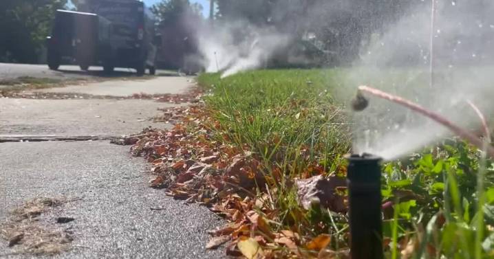 Lawn Technician details pros to blowing out sprinklers