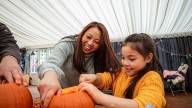 Fall Events in Orlando: Pumpkin patches, corn mazes and festivals