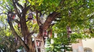 Familiares de víctimas de violencia piden empatía en trámites de atención