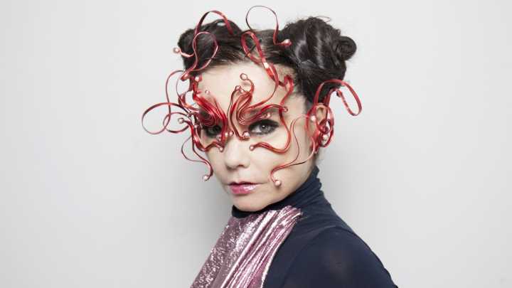 Björk Says Israeli Army "Kidnapped" Childhood Friend on Gaza Aid Mission