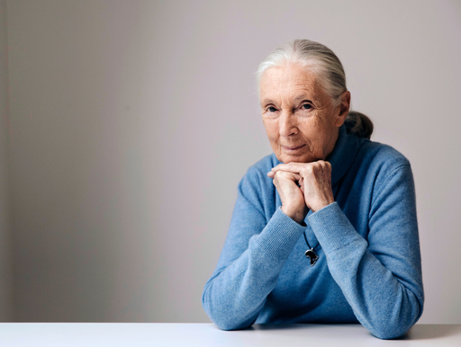 Goodall's influence spread far and wide. Those who felt it are pledging to continue her work