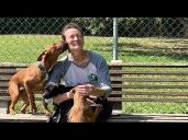 How to save an animal shelter: “If you care about something just do it”