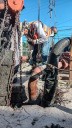 COMAPA RIO BRAVO INFORMA: