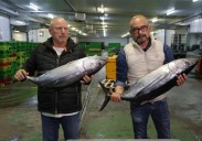 Finaliza la costera de bonito con un 68% de la cuota consumida y mejores precios