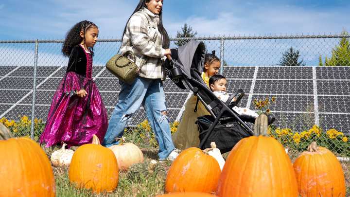 27 Oregon pumpkin patches to check out this autumn