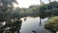 Sarasota County to begin dredging Phillippi Creek