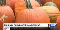 How to pick the best pumpkin in the patch