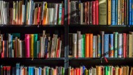 The Affordable IKEA Item That'll Double The Storage Space On Your Deep Bookshelf
