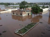 Floods claim 1,006 lives, including 275 children