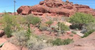 Red Hills Desert Garden marks 10 years as St. George’s hidden oasis