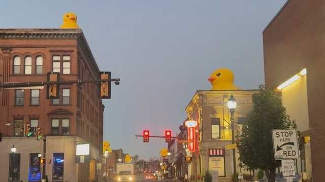 Local candy shop claims responsibility for placing thousands of rubber ducks in Canonsburg