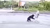 Bears kill more people in Japan than ever recorded