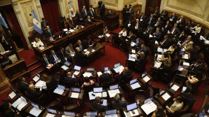 El Senado sesionará este jueves para rechazar los vetos sobre el Garrahan y universidades