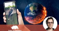 Instead of doomscrolling the internet, I joyscroll my photos app