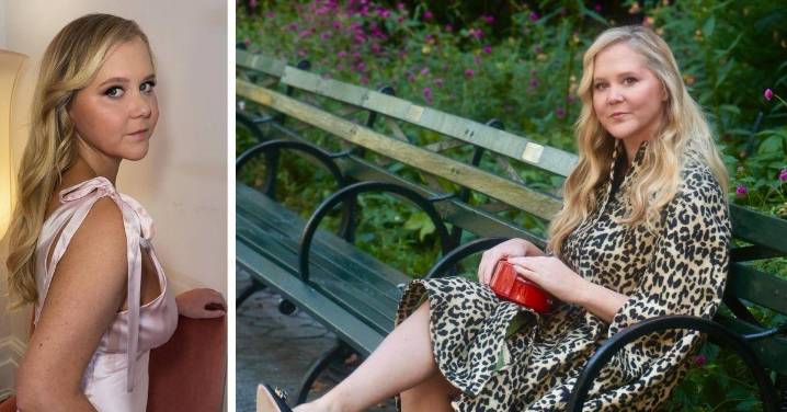 Amy Schumer Flaunts Her Tiny Figure After Weight Loss Transformation: Hot Photos