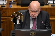 Senador Insulza acusa a Camila Flores de prometer “pena de muerte y castración química” en panfletos de campaña
