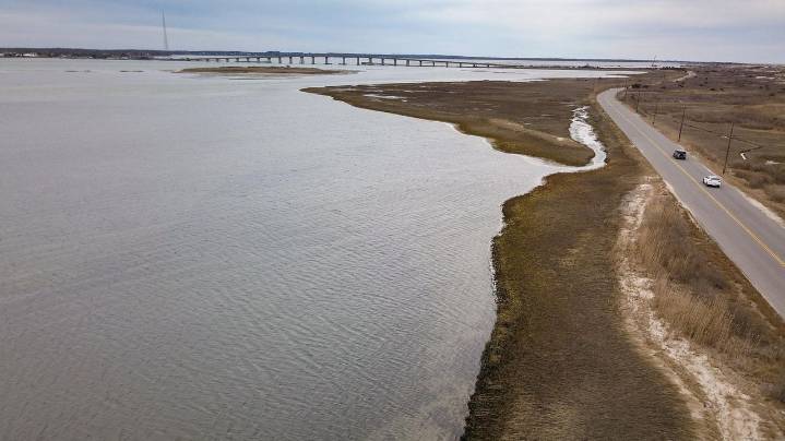 Dolphin washes up on Quogue beach; necropsy planned