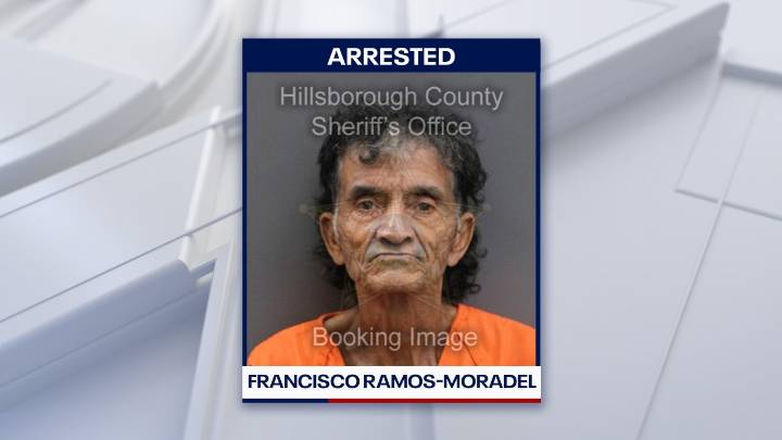 Man arrested for stabbing, killing woman after Bradenton car crash: police