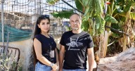 Roban más de 80 pájaros: «Los crié, incluso dormían en mi hombro, eran como mis hijos»