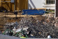 East Wing destruction emblematic of democracy's decline